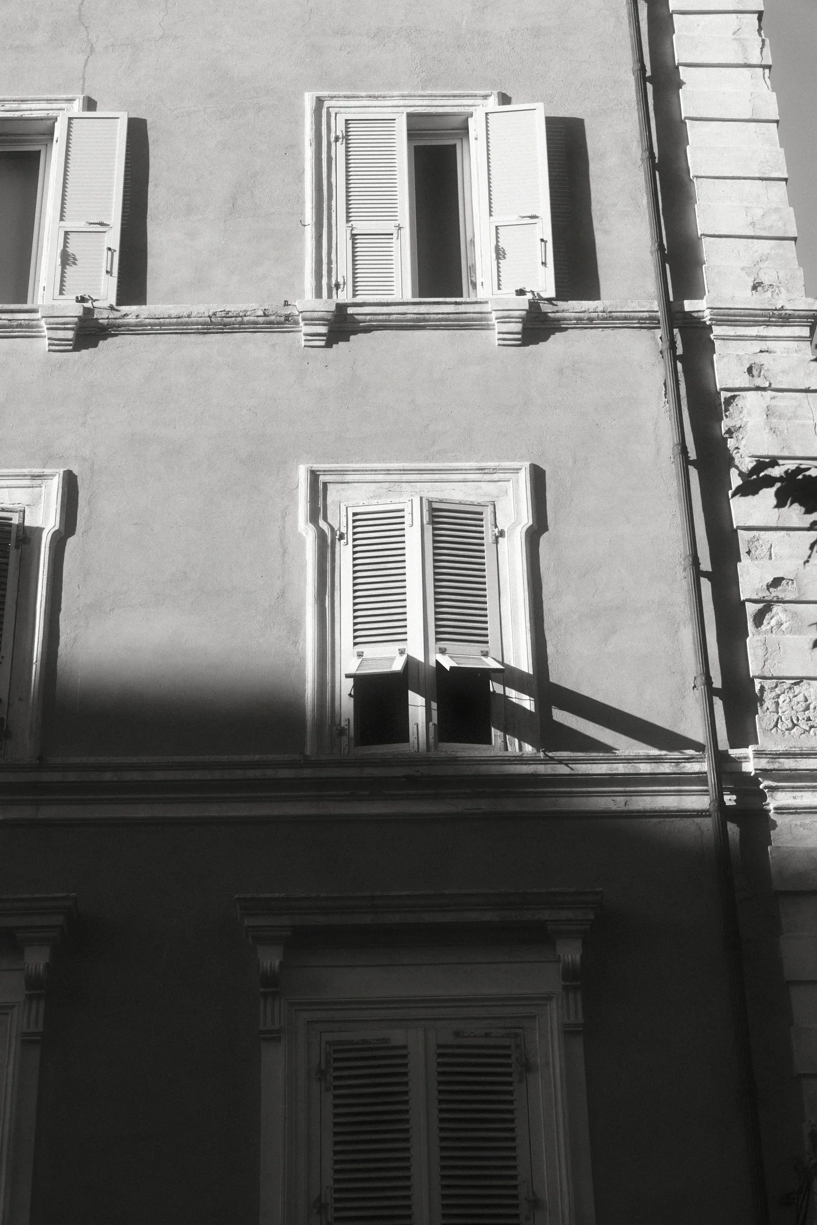 Human Condition, a photograph by Frederik Strobl