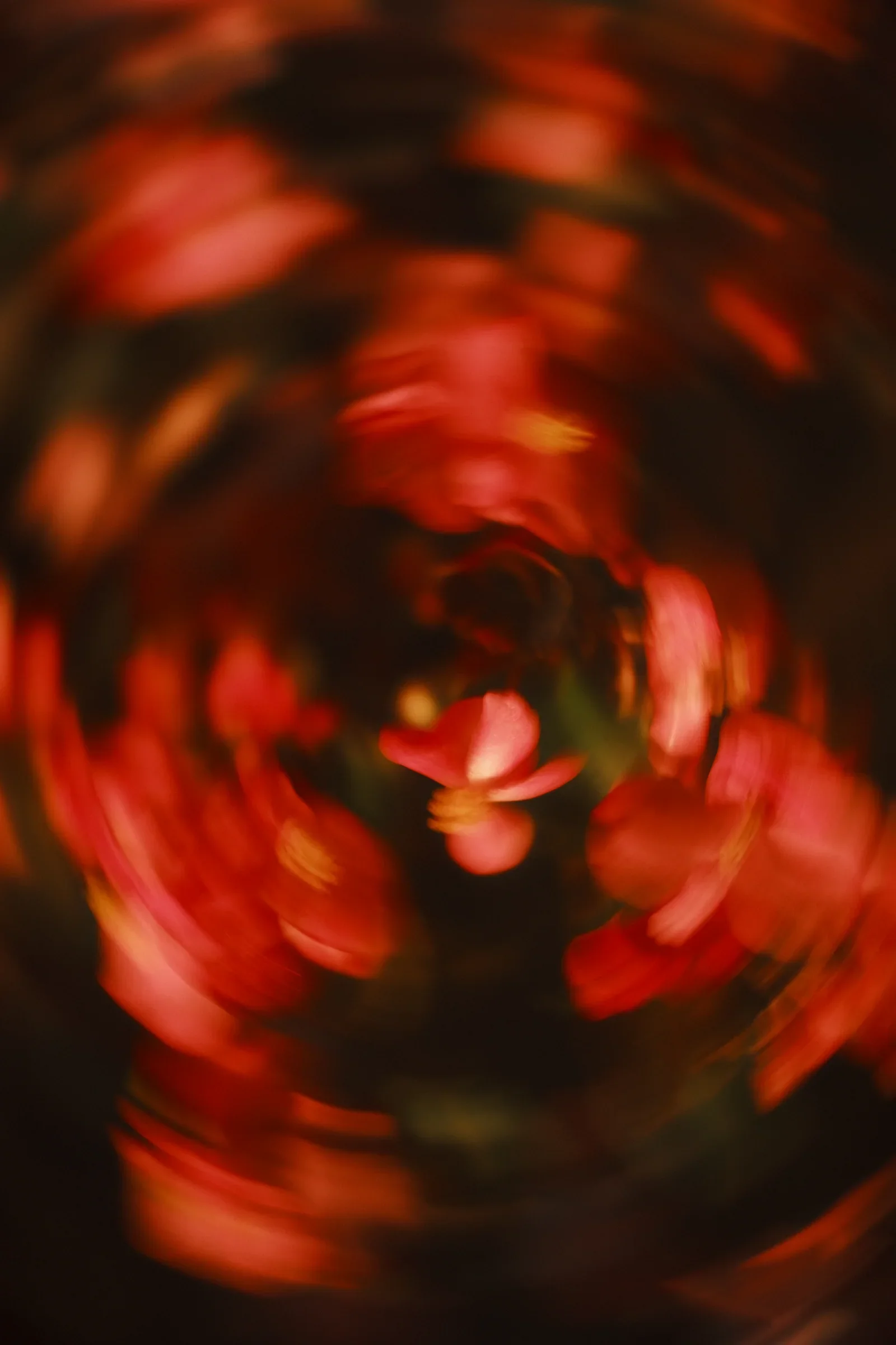 Dream State, a photograph by Frederik Strobl