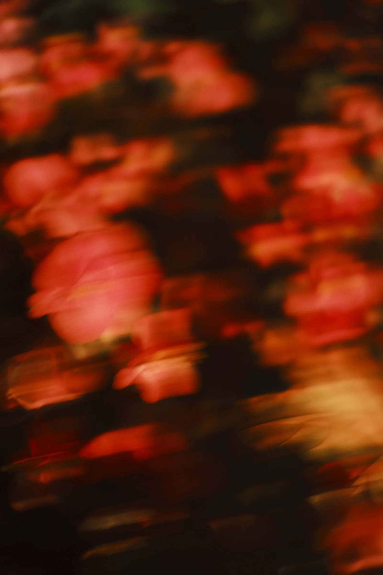 Dream State, a photograph by Frederik Strobl