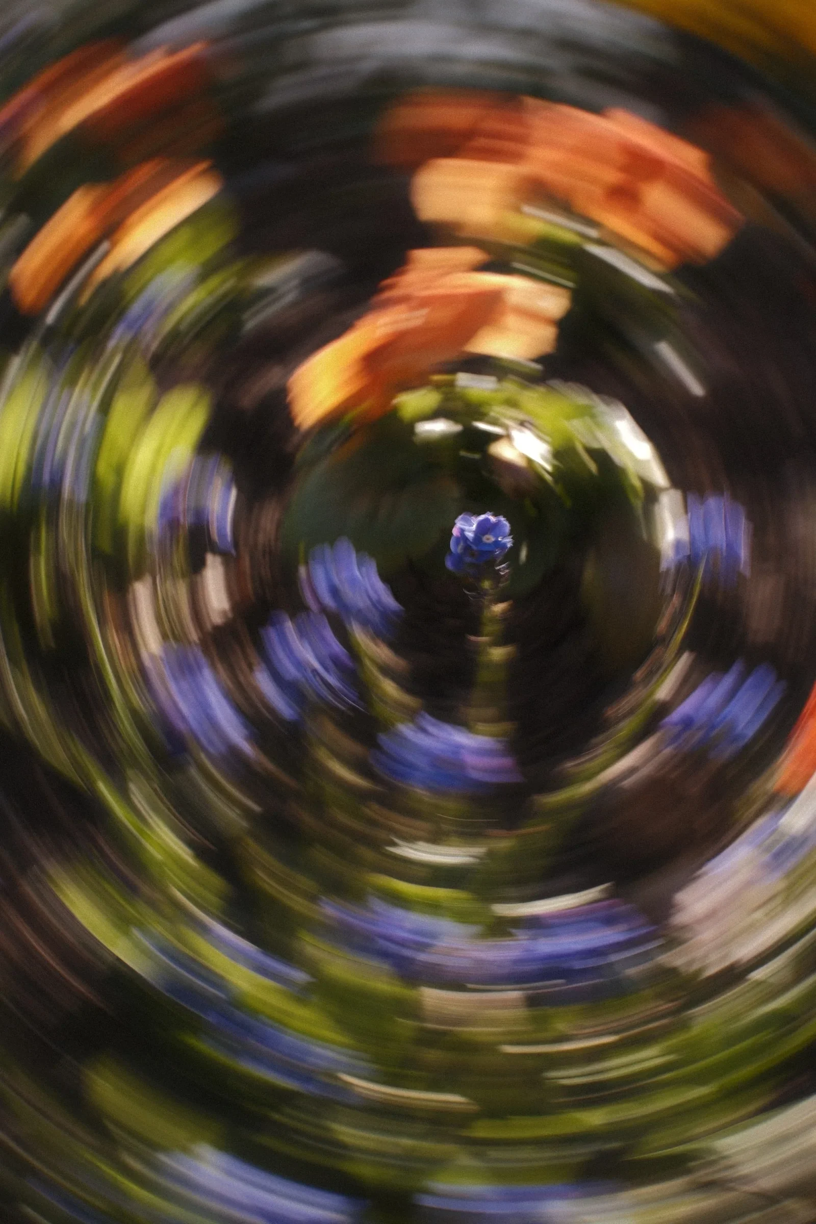 Dream State, a photograph by Frederik Strobl