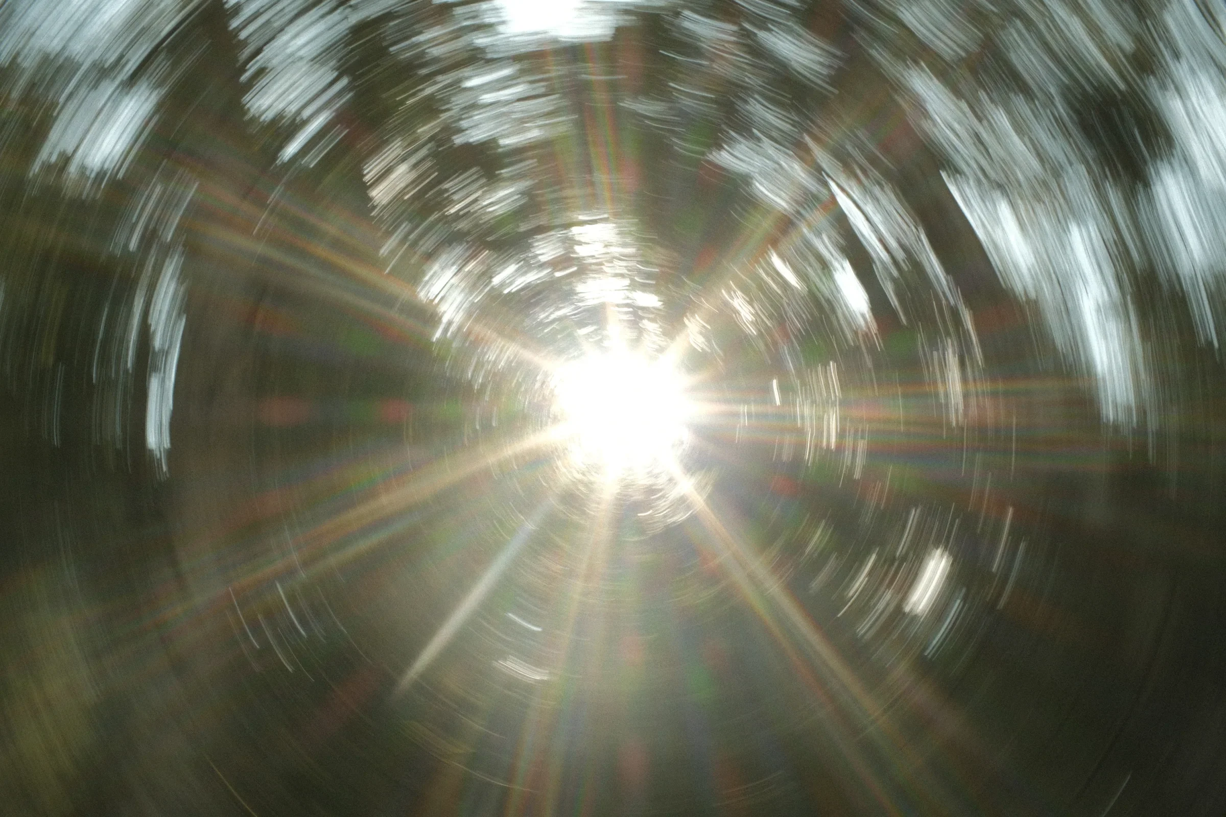Sunlight turning a forest into a circular in-camera abstraction