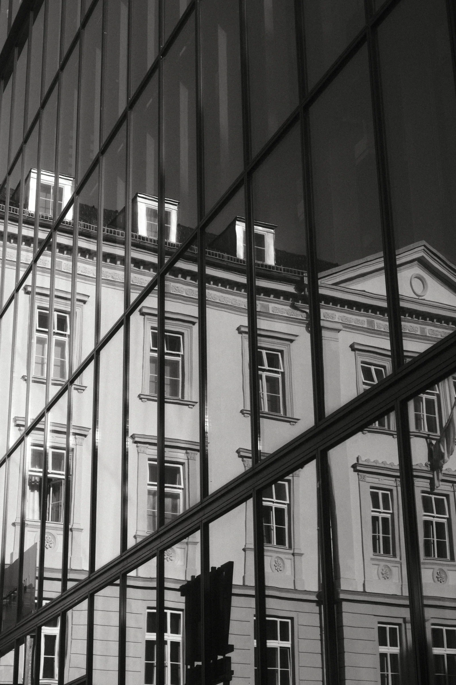 Human Condition, a photograph by Frederik Strobl