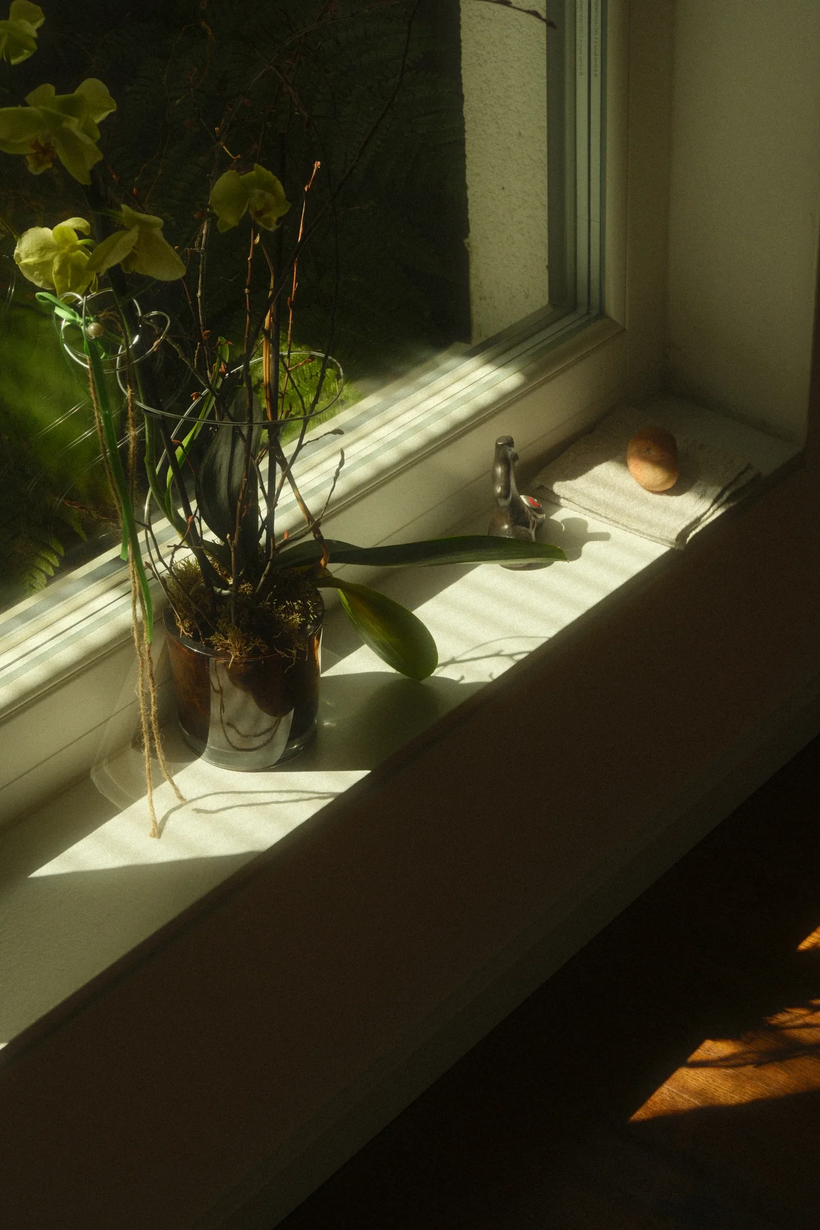 Human Condition, a photograph by Frederik Strobl